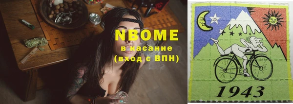 индика Майский