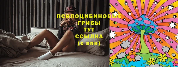 индика Михайловск