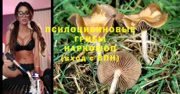 индика Майский